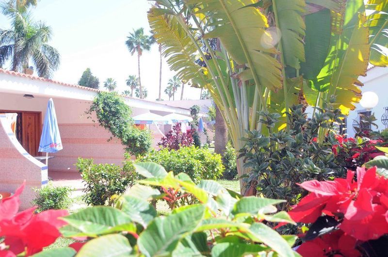 San Valentin & Terraflor Park Hotel Playa del Ingles  Exterior photo